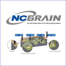 NC Brain